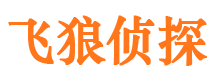 宣恩侦探公司